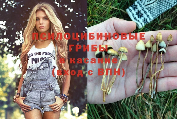 спиды Нефтегорск