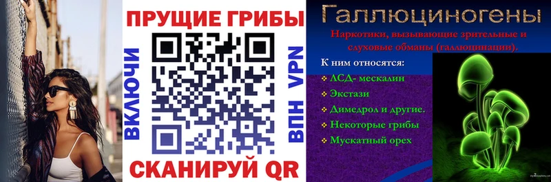 Галлюциногенные грибы Cubensis  Ясногорск 